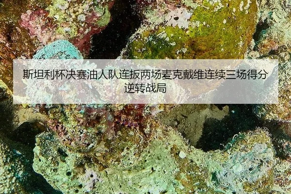 si-tan-li-bei-jue-sai-you-ren-dui-lian-ban-liang-chang-mai-ke-dai-wei-lian-xu-san-chang-de-fen-ni-zhuan-zhan-ju-2-645.jpg