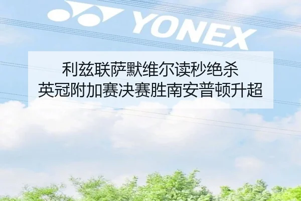利兹联萨默维尔读秒绝杀 英冠附加赛决赛胜南安普顿升超
